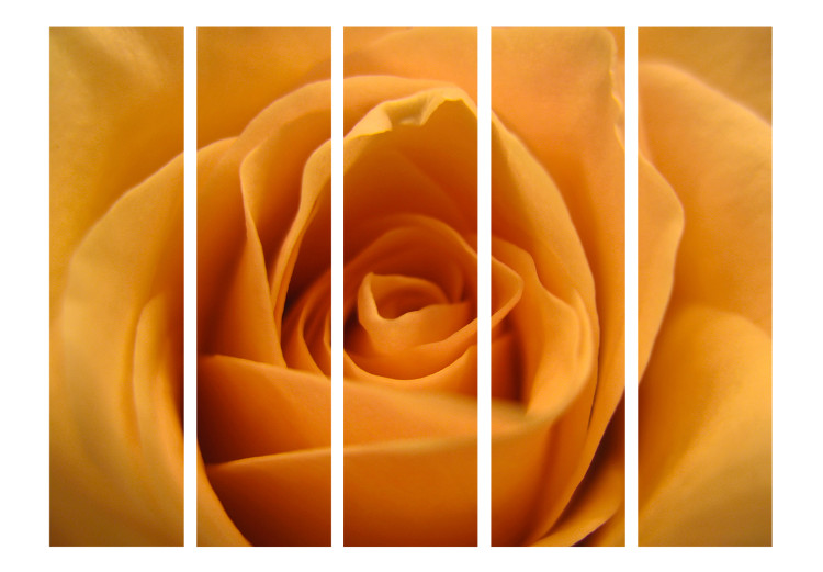 Room Divider Yellow Rose - Symbol of Friendship II - composition of a yellow-colored plant 134050 additionalImage 3