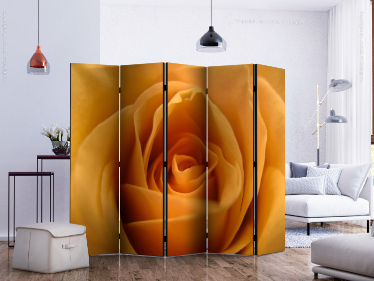 Room Divider Yellow Rose - Symbol of Friendship II - composition of a yellow-colored plant 134050 additionalImage 2