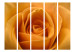 Room Divider Yellow Rose - Symbol of Friendship II - composition of a yellow-colored plant 134050 additionalThumb 3