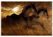 Canvas Art Print Golden gallop - two penalties horses galloping through a golden meadow 135050