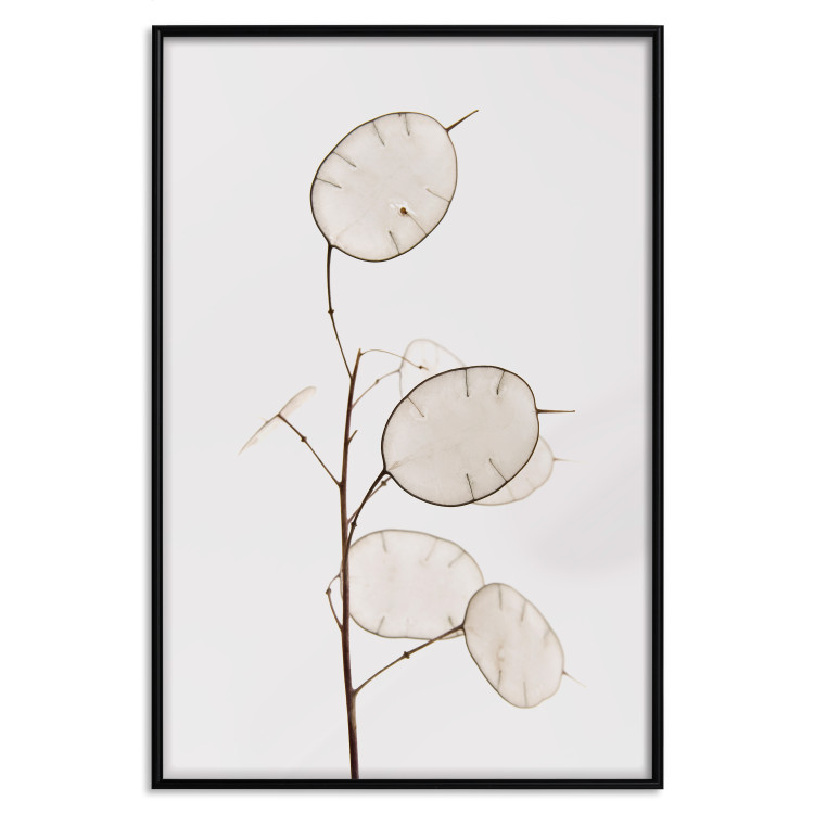 Poster Sunny Direction - a simple composition with bright foliage on a white background 136050 additionalImage 23