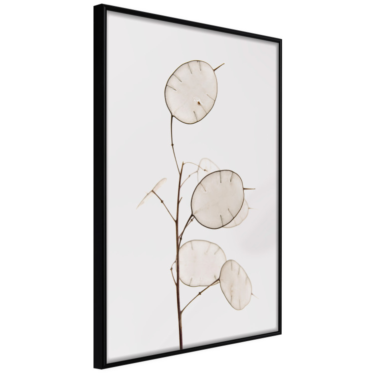 Poster Sunny Direction - a simple composition with bright foliage on a white background 136050 additionalImage 6