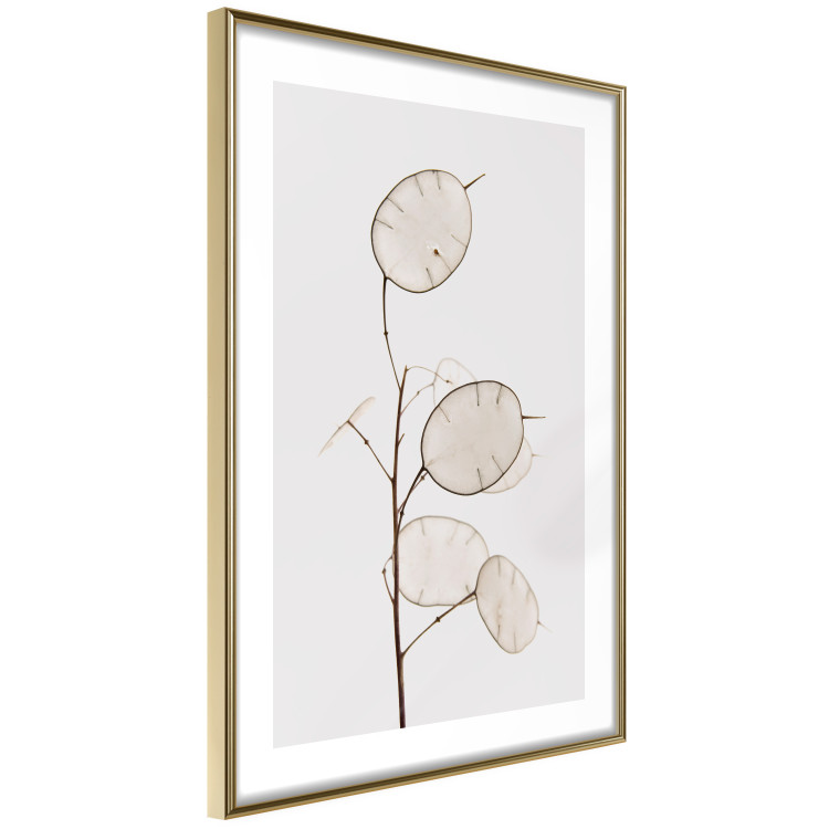 Poster Sunny Direction - a simple composition with bright foliage on a white background 136050 additionalImage 8