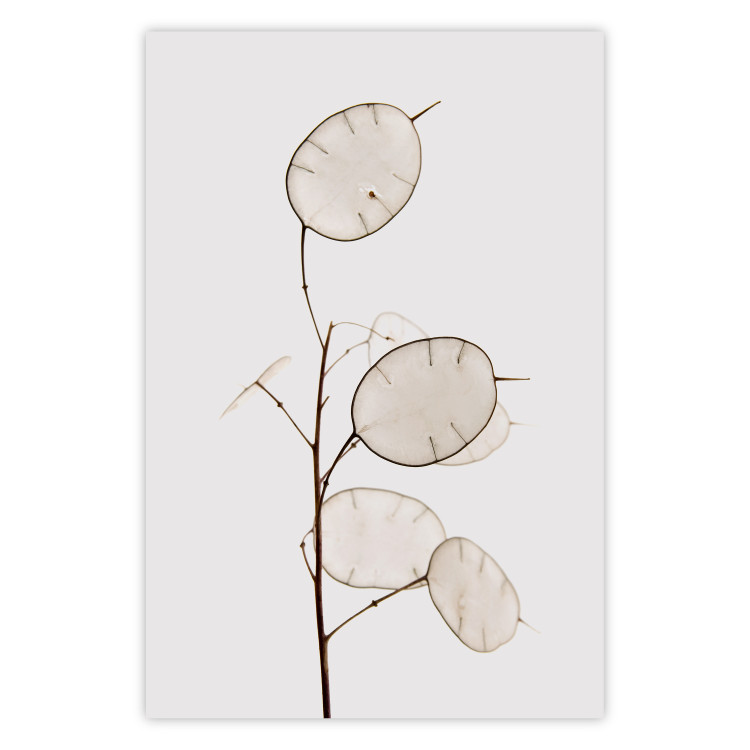 Poster Sunny Direction - a simple composition with bright foliage on a white background 136050
