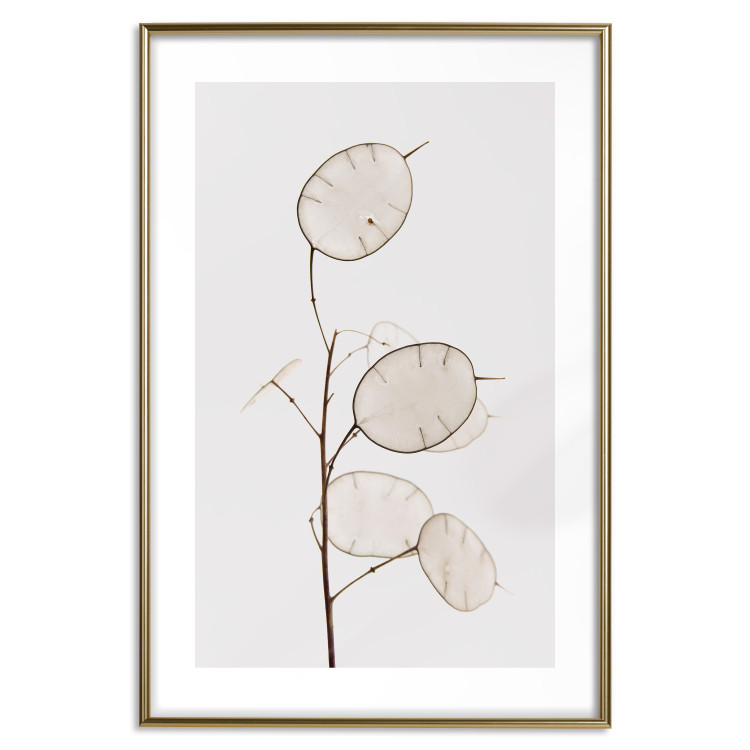 Poster Sunny Direction - a simple composition with bright foliage on a white background 136050 additionalImage 20