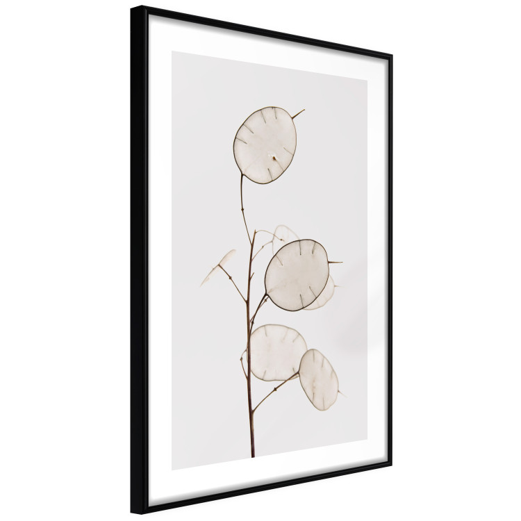 Poster Sunny Direction - a simple composition with bright foliage on a white background 136050 additionalImage 7