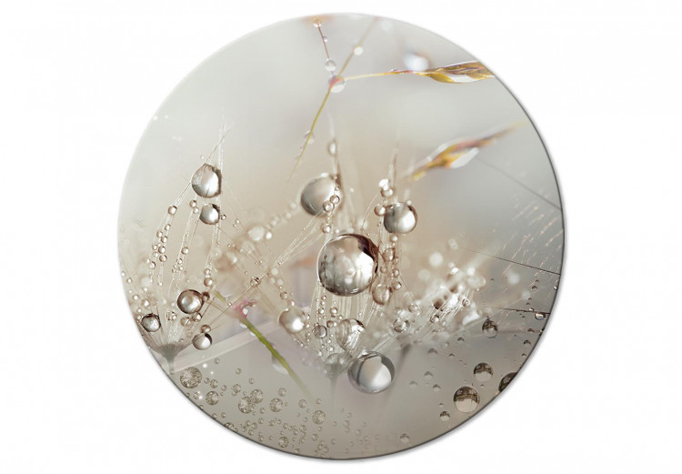 Round Canvas Dew Drops - Grass and Dandelion in the Rain on a Steel Background 148750