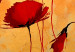 Canvas Art Print Poppies (1-piece) - Frayed flowers on a background of orange glow 48550 additionalThumb 4