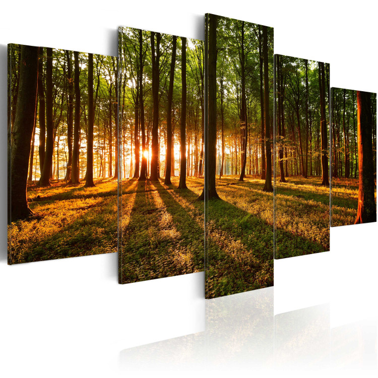 Canvas Print Sunset in the forest 50050 additionalImage 2