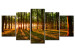 Canvas Print Sunset in the forest 50050