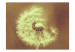 Wall Mural Dandelion (Sepia) - Close-up of Dandelion Flowers on a Solid Background 60650 additionalThumb 1
