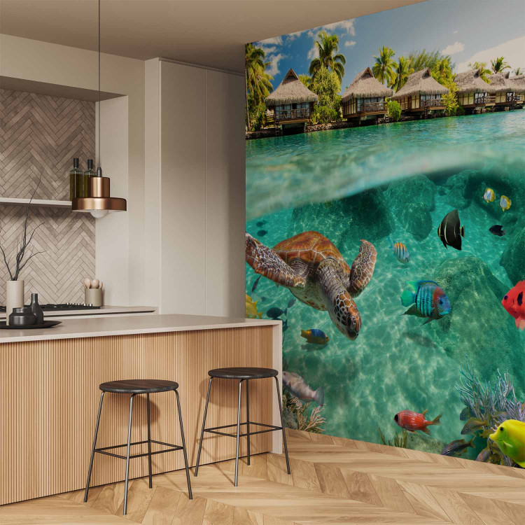 Wall Mural Paradise Maldives - Seascape on a reef with fish and turtles 61250 additionalImage 7