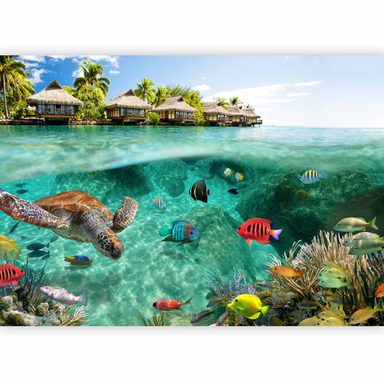 Wall Mural Paradise Maldives - Seascape on a reef with fish and turtles 61250 additionalImage 5