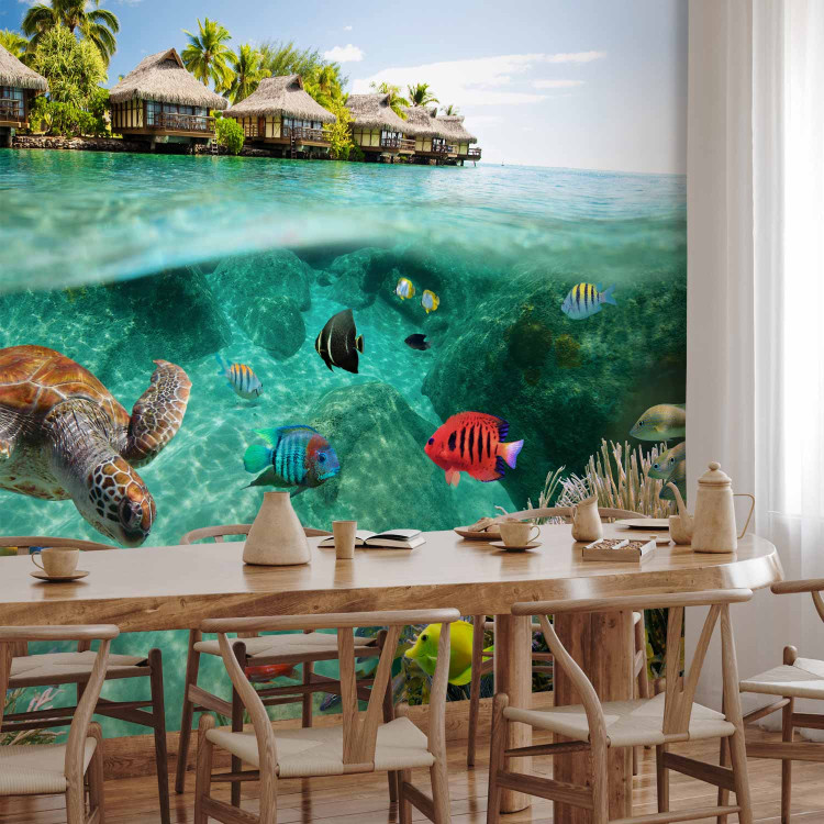 Wall Mural Paradise Maldives - Seascape on a reef with fish and turtles 61250 additionalImage 4