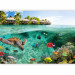 Wall Mural Paradise Maldives - Seascape on a reef with fish and turtles 61250 additionalThumb 1