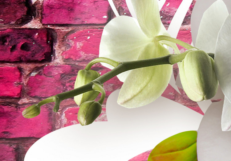 Canvas Variation about the orchids 61750 additionalImage 5