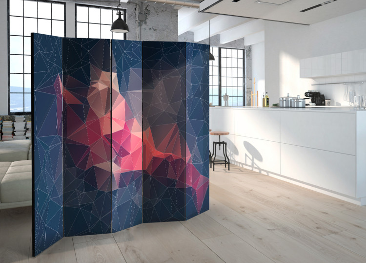 Room Divider Screen Abstract Bird II - colorful abstraction of figures with 3D illusion motif 95350 additionalImage 4