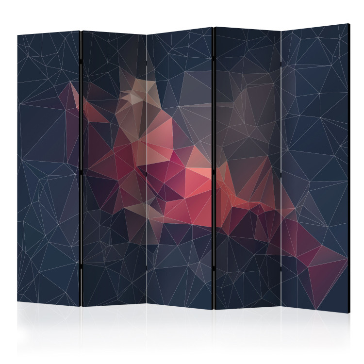 Room Divider Screen Abstract Bird II - colorful abstraction of figures with 3D illusion motif 95350