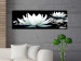 Canvas Art Print Nature's Masterpiece (1-part) - Lilies in Black and White Contrast 95750 additionalThumb 3