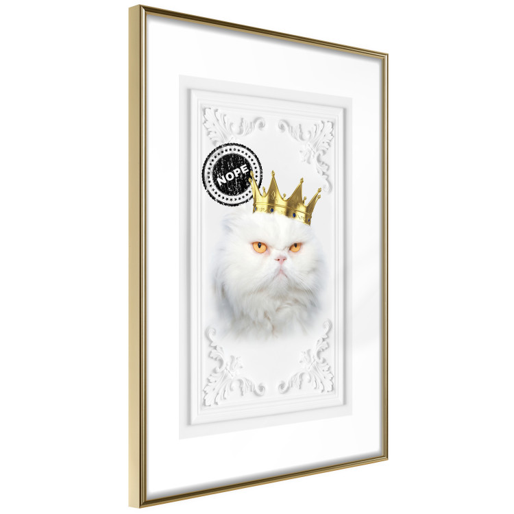 Poster King Cat - Playful composition with a white cat and English text 114360 additionalImage 6