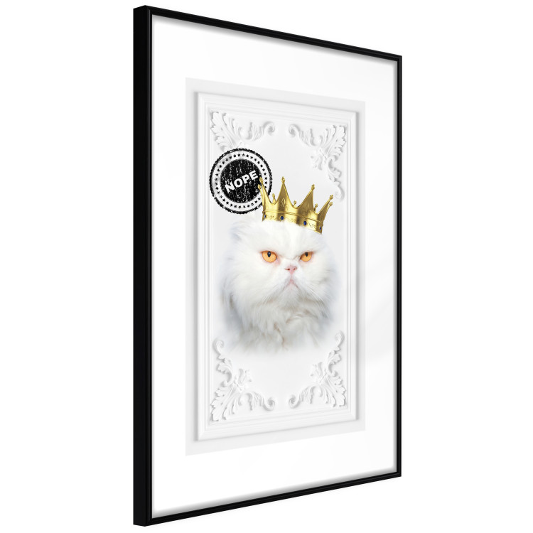Poster King Cat - Playful composition with a white cat and English text 114360 additionalImage 11
