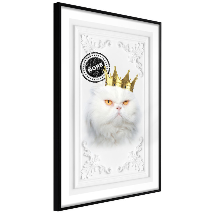Poster King Cat - Playful composition with a white cat and English text 114360 additionalImage 10