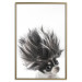Poster Chihuahua - funny small dog with a fluffy mane on white background 114960 additionalThumb 20