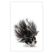 Poster Chihuahua - funny small dog with a fluffy mane on white background 114960 additionalThumb 25