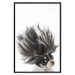 Poster Chihuahua - funny small dog with a fluffy mane on white background 114960 additionalThumb 18