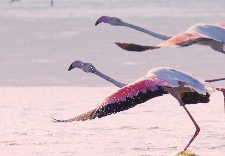 Wall Poster Flamingo Race - summer landscape of pastel water with pink birds 117460 additionalImage 11