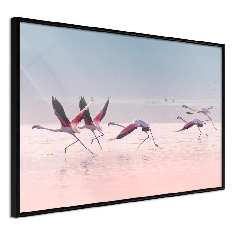 Wall Poster Flamingo Race - summer landscape of pastel water with pink birds 117460 additionalImage 10