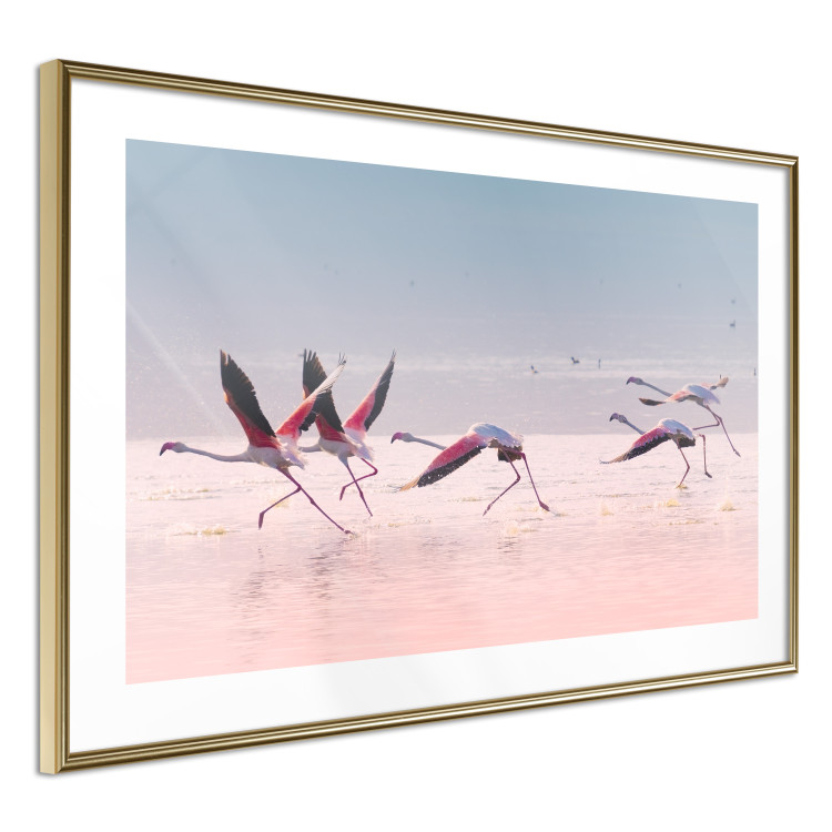 Wall Poster Flamingo Race - summer landscape of pastel water with pink birds 117460 additionalImage 8