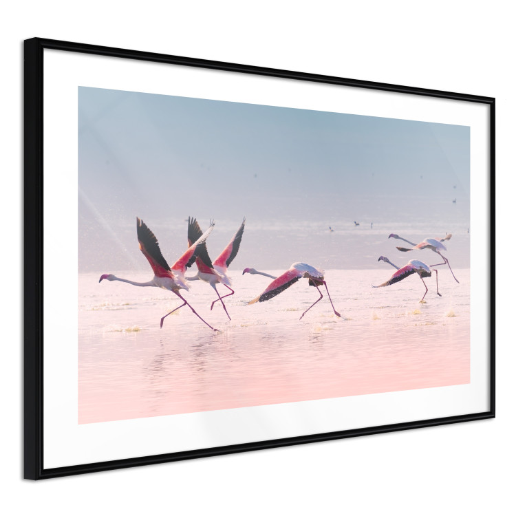Wall Poster Flamingo Race - summer landscape of pastel water with pink birds 117460 additionalImage 13