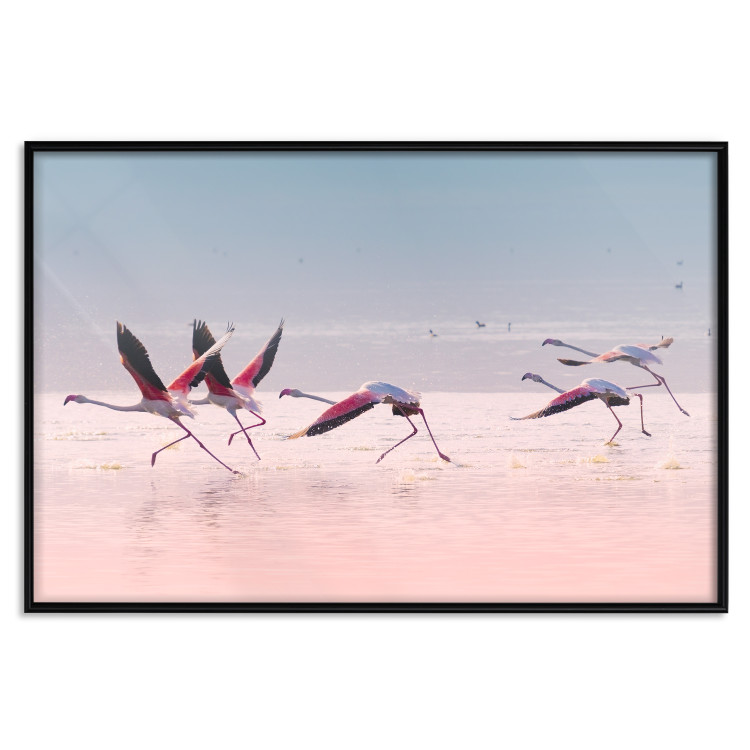 Wall Poster Flamingo Race - summer landscape of pastel water with pink birds 117460 additionalImage 24