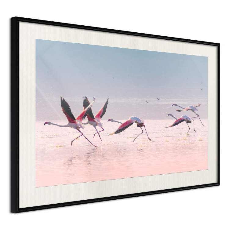 Wall Poster Flamingo Race - summer landscape of pastel water with pink birds 117460 additionalImage 3