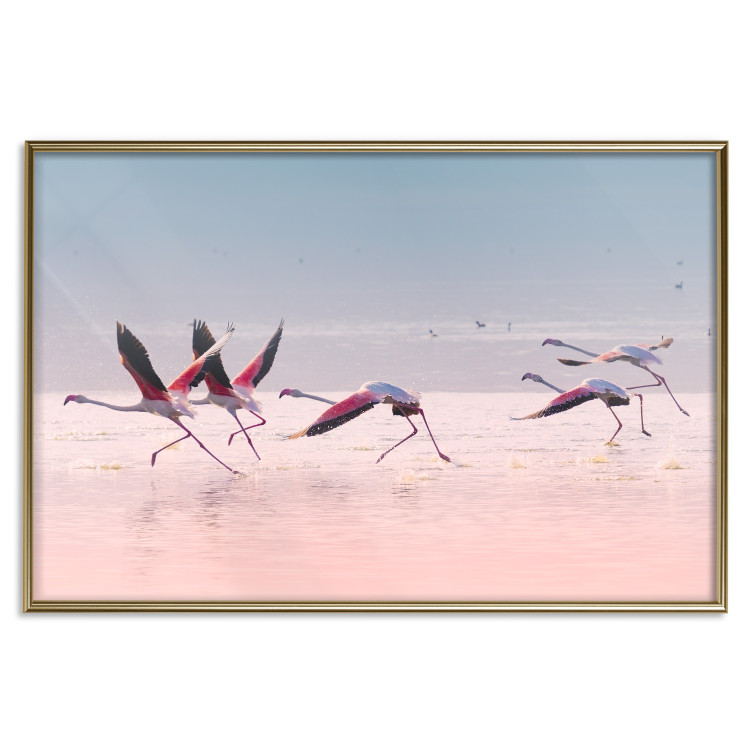 Wall Poster Flamingo Race - summer landscape of pastel water with pink birds 117460 additionalImage 20