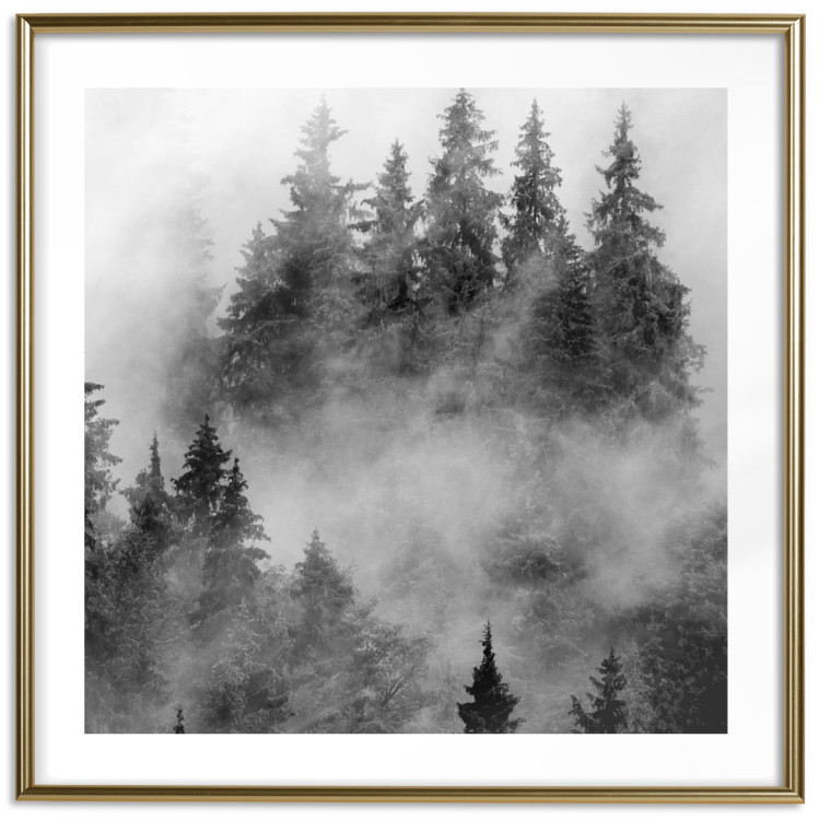 Wall Poster Black Forest - black and white landscape of forest trees amidst dense fog 120460 additionalImage 14