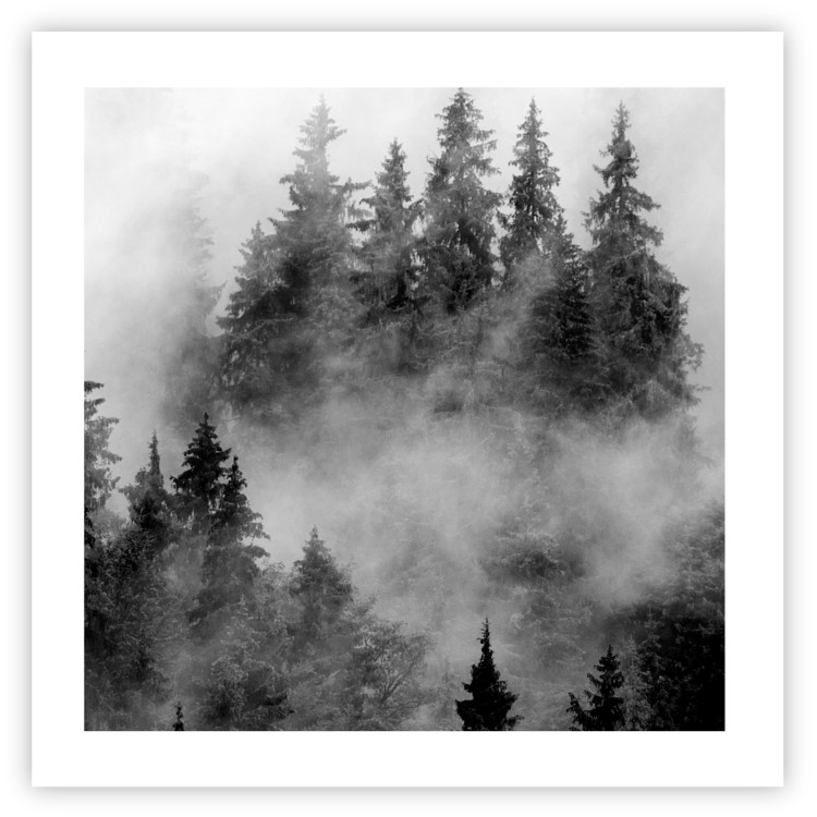 Wall Poster Black Forest - black and white landscape of forest trees amidst dense fog 120460 additionalImage 19
