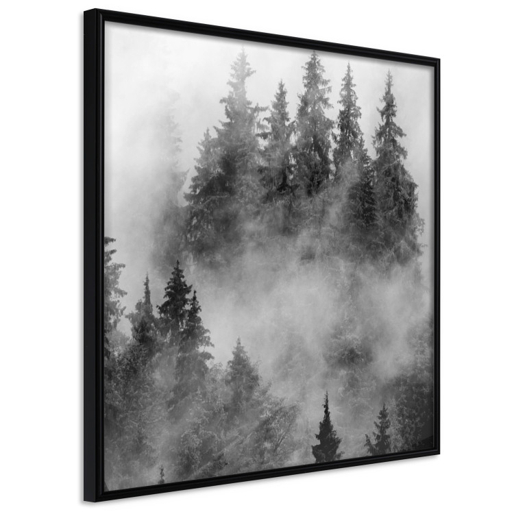 Wall Poster Black Forest - black and white landscape of forest trees amidst dense fog 120460 additionalImage 10
