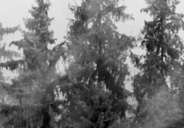Wall Poster Black Forest - black and white landscape of forest trees amidst dense fog 120460 additionalImage 9