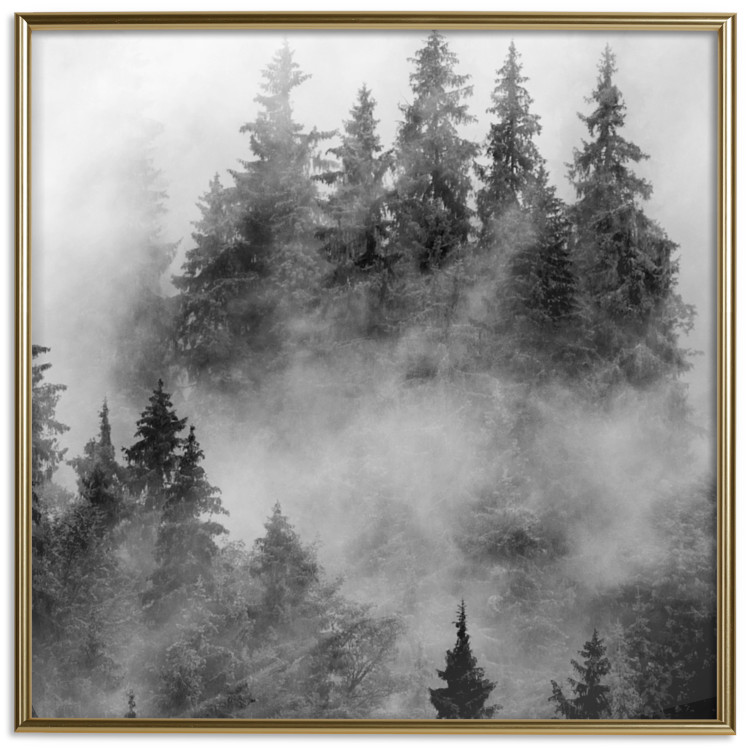 Wall Poster Black Forest - black and white landscape of forest trees amidst dense fog 120460 additionalImage 16