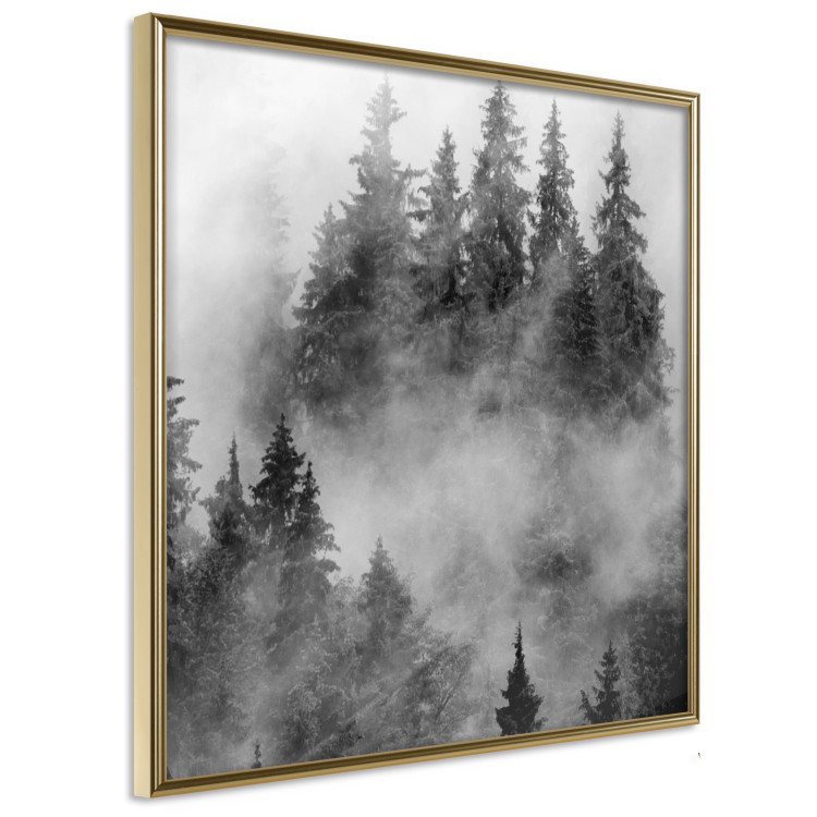 Wall Poster Black Forest - black and white landscape of forest trees amidst dense fog 120460 additionalImage 12