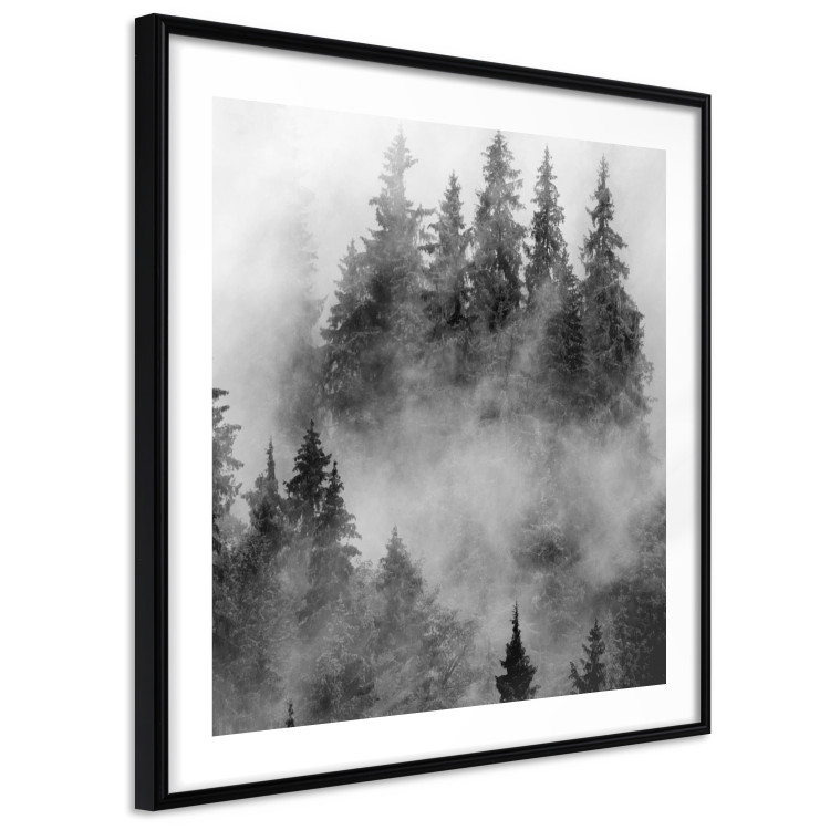 Wall Poster Black Forest - black and white landscape of forest trees amidst dense fog 120460 additionalImage 11