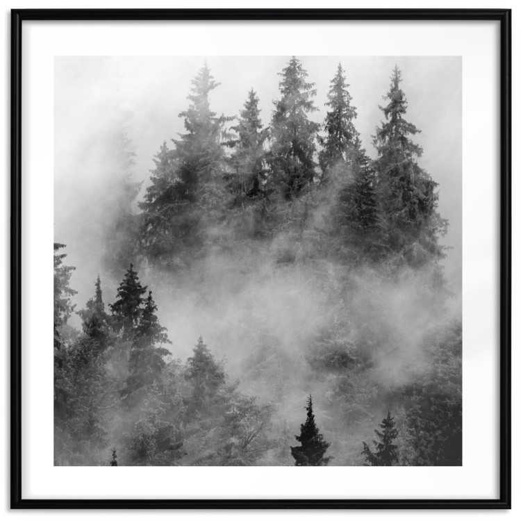 Wall Poster Black Forest - black and white landscape of forest trees amidst dense fog 120460 additionalImage 15