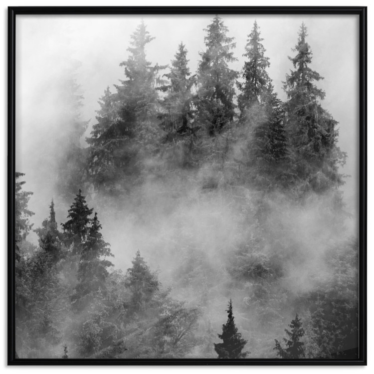 Wall Poster Black Forest - black and white landscape of forest trees amidst dense fog 120460 additionalImage 18