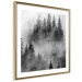 Wall Poster Black Forest - black and white landscape of forest trees amidst dense fog 120460 additionalThumb 6
