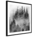 Wall Poster Black Forest - black and white landscape of forest trees amidst dense fog 120460 additionalThumb 11
