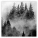 Wall Poster Black Forest - black and white landscape of forest trees amidst dense fog 120460