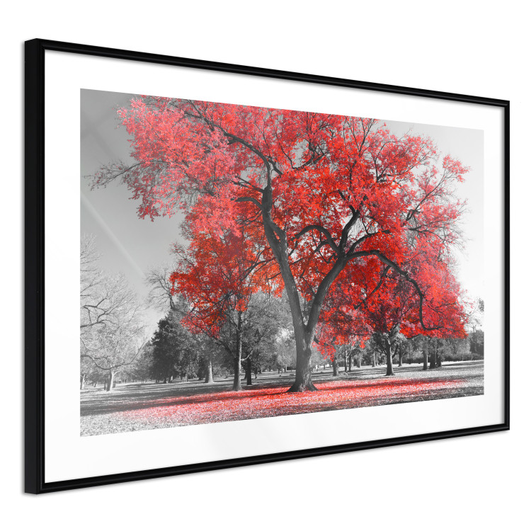 Poster Autumn in the Park (Red) - gray tree landscape with red leaves 122760 additionalImage 13