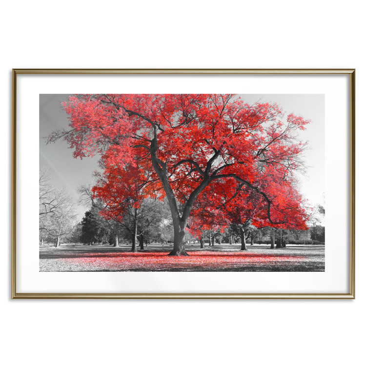 Poster Autumn in the Park (Red) - gray tree landscape with red leaves 122760 additionalImage 16